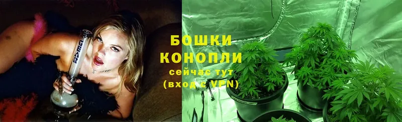 блэк спрут ссылки  наркота  Россошь  Канабис OG Kush 